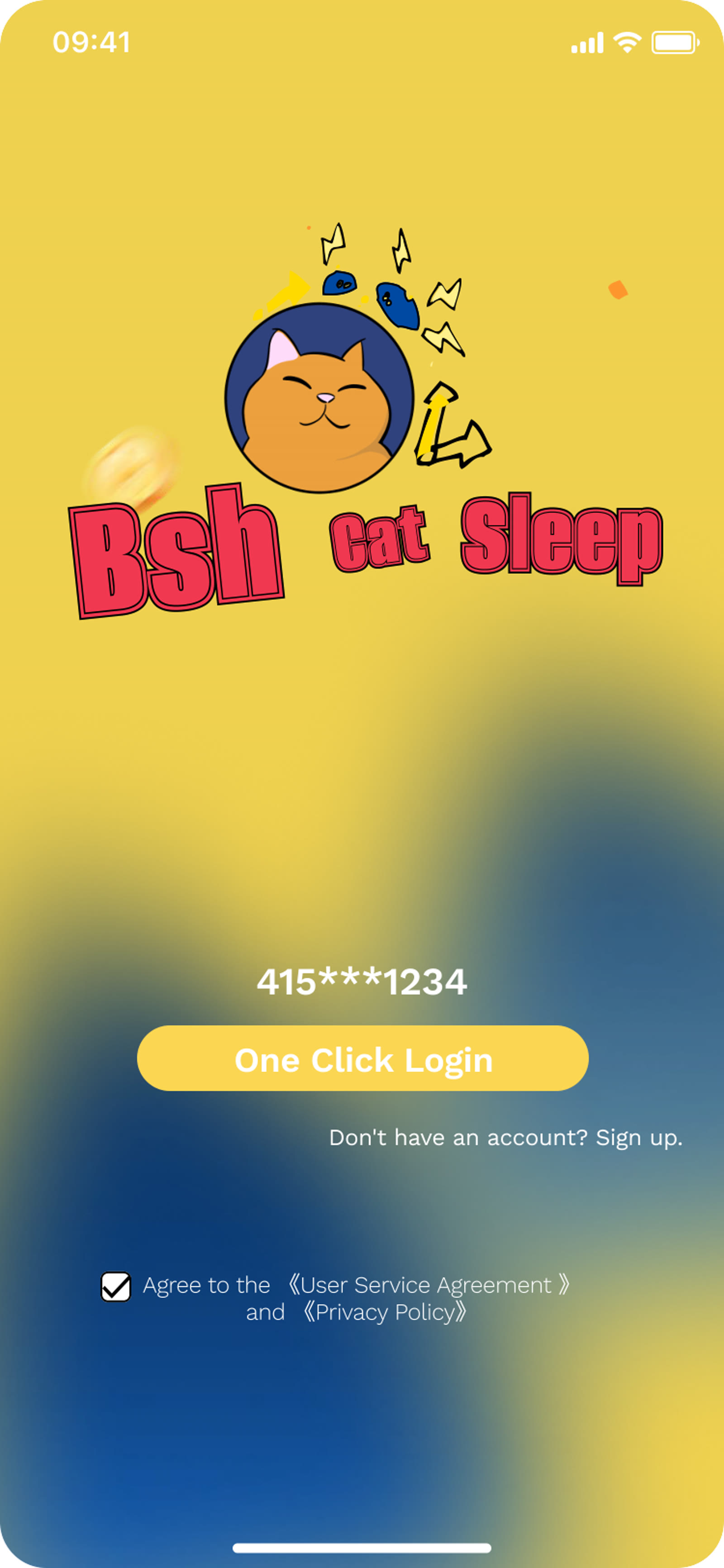Login screen alternate state