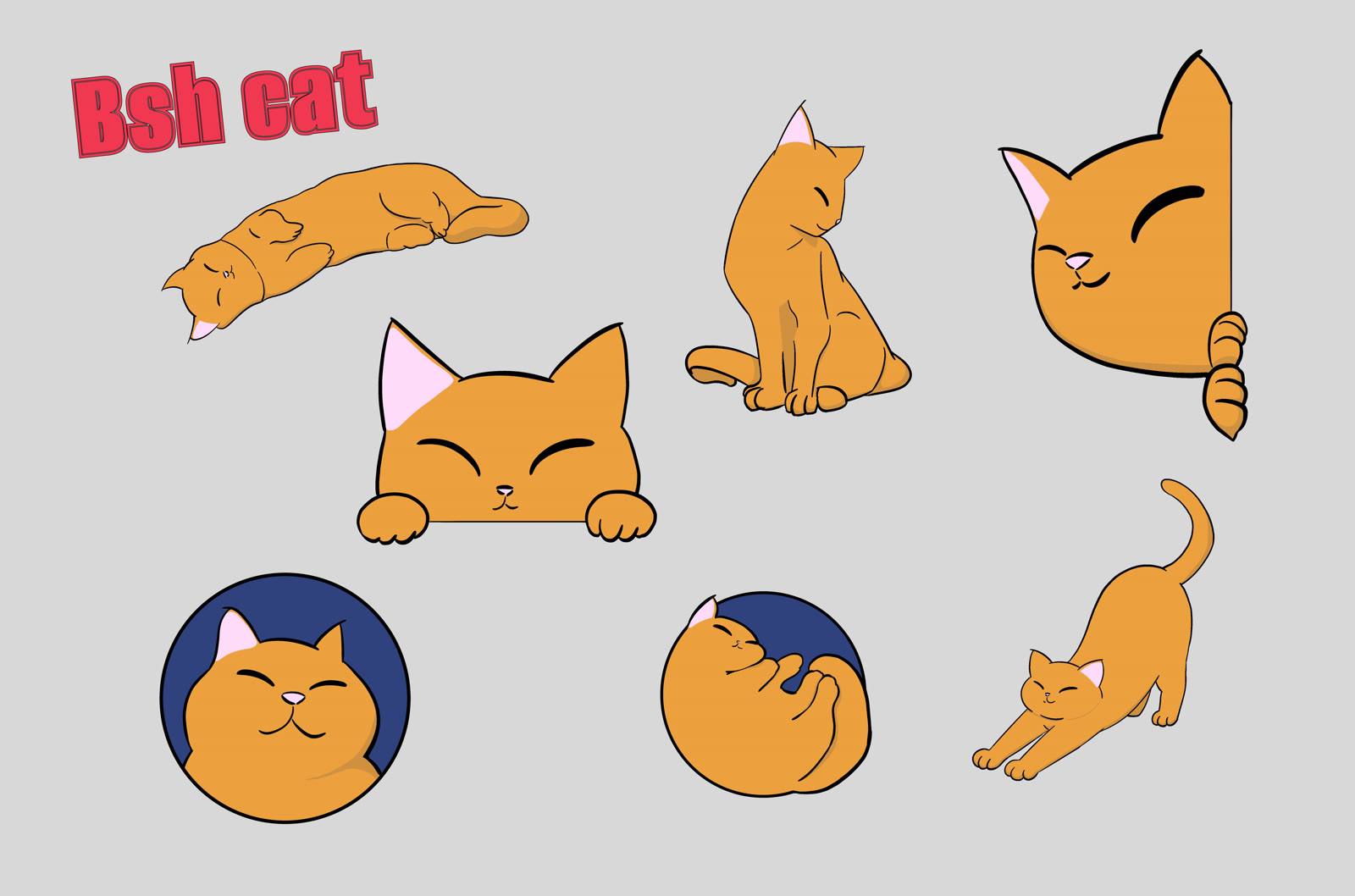 Bsh Cat character sheet